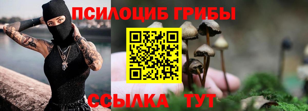 Псилоцибиновые грибы Psilocybine cubensis  Вход с VPN  Волхов  Галлюциногенные грибы MAGIC MUSHROOMS 